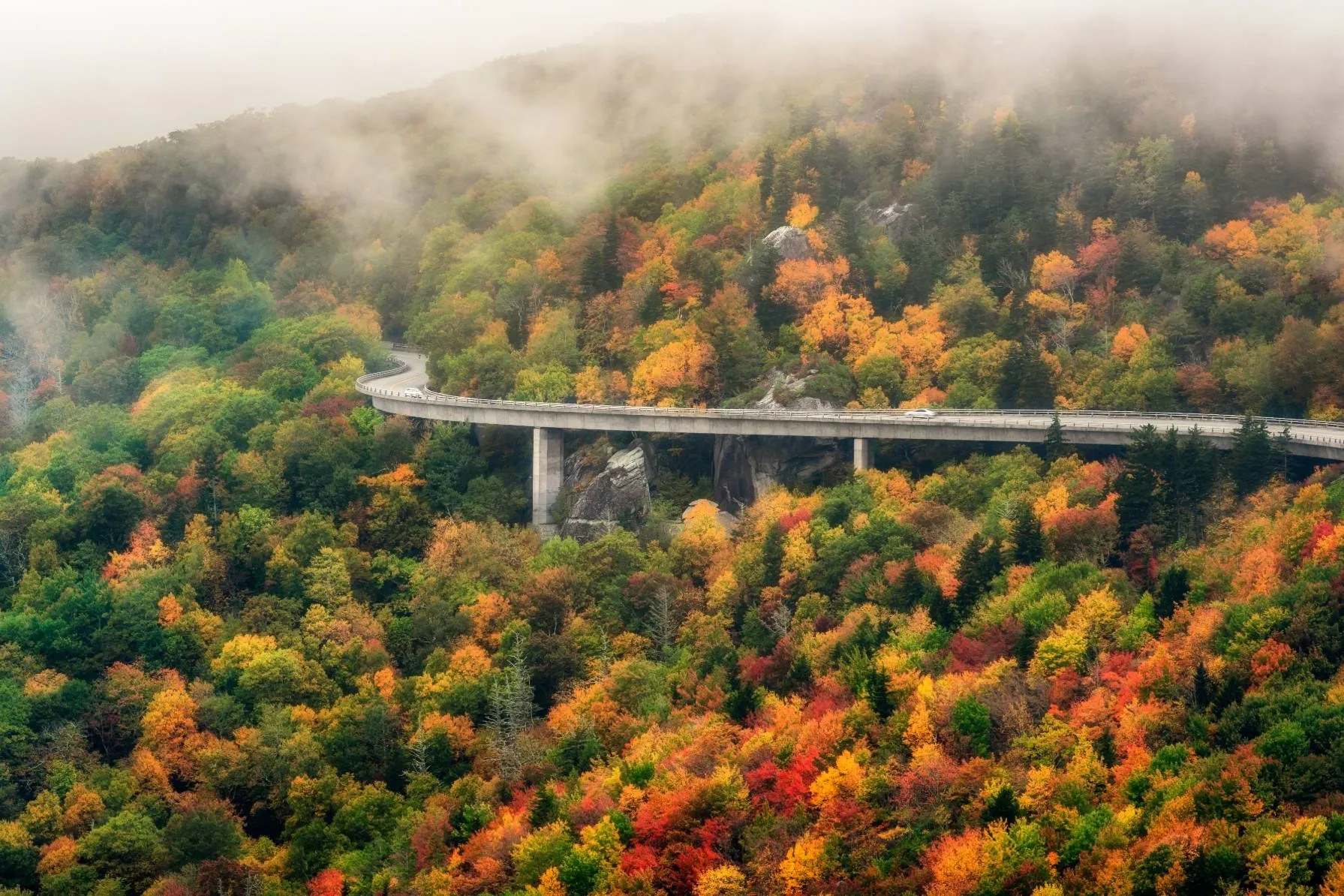 The Blue Ridge Parkway curving across a misty viaduct surrounded by full autumn color, the foliage in every shade of orange, red, and yellow