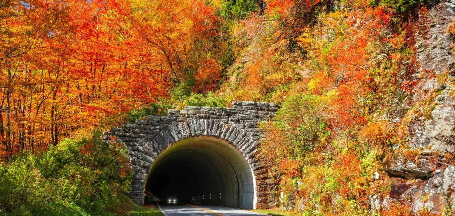 The Blue Ridge Parkway winding through a stone tunnel surrounded by fall foliage in the Pisgah region