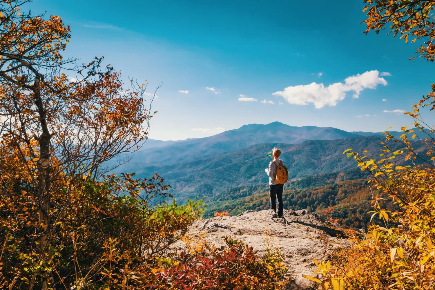 A hiker with a yellow backpack standing on a rocky Blue Ridge Parkway overlook in autumn, looking out across layered mountain ridges with fall foliage framing the view