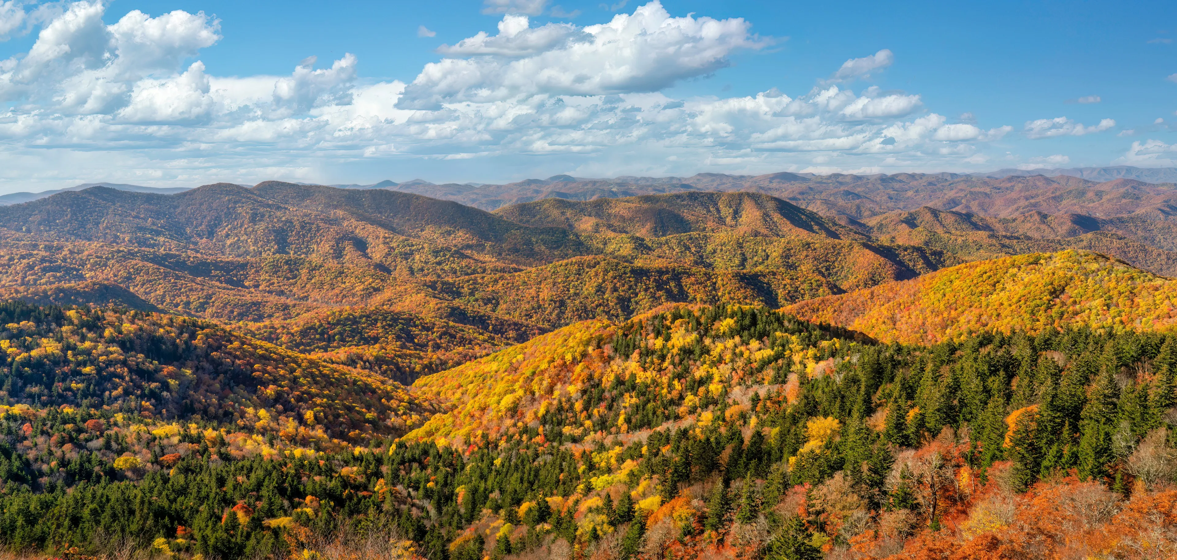 The Blue Ridge Parkway winding through the Pisgah region with layered mountain ridges in the distance