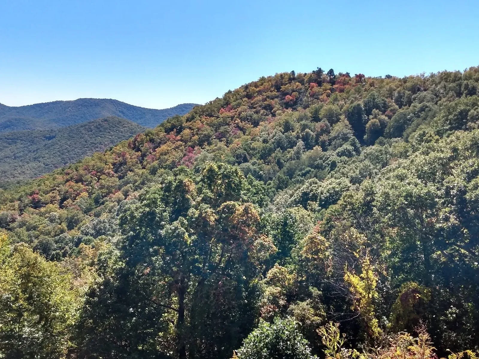 Sweeping westward view from a Blue Ridge Parkway overlook across the Hominy and Mills River valleys with layered ridges in the distance