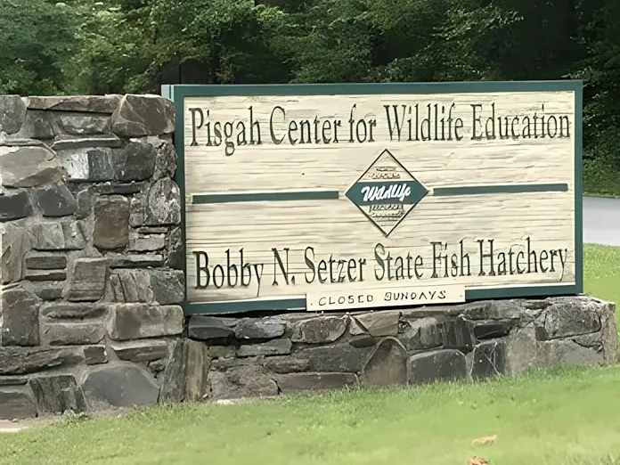 Wooden Pisgah Center for Wildlife Education and Bobby N. Setzer State Fish Hatchery sign set on a stone base at the entrance, closed Sundays placard at the bottom