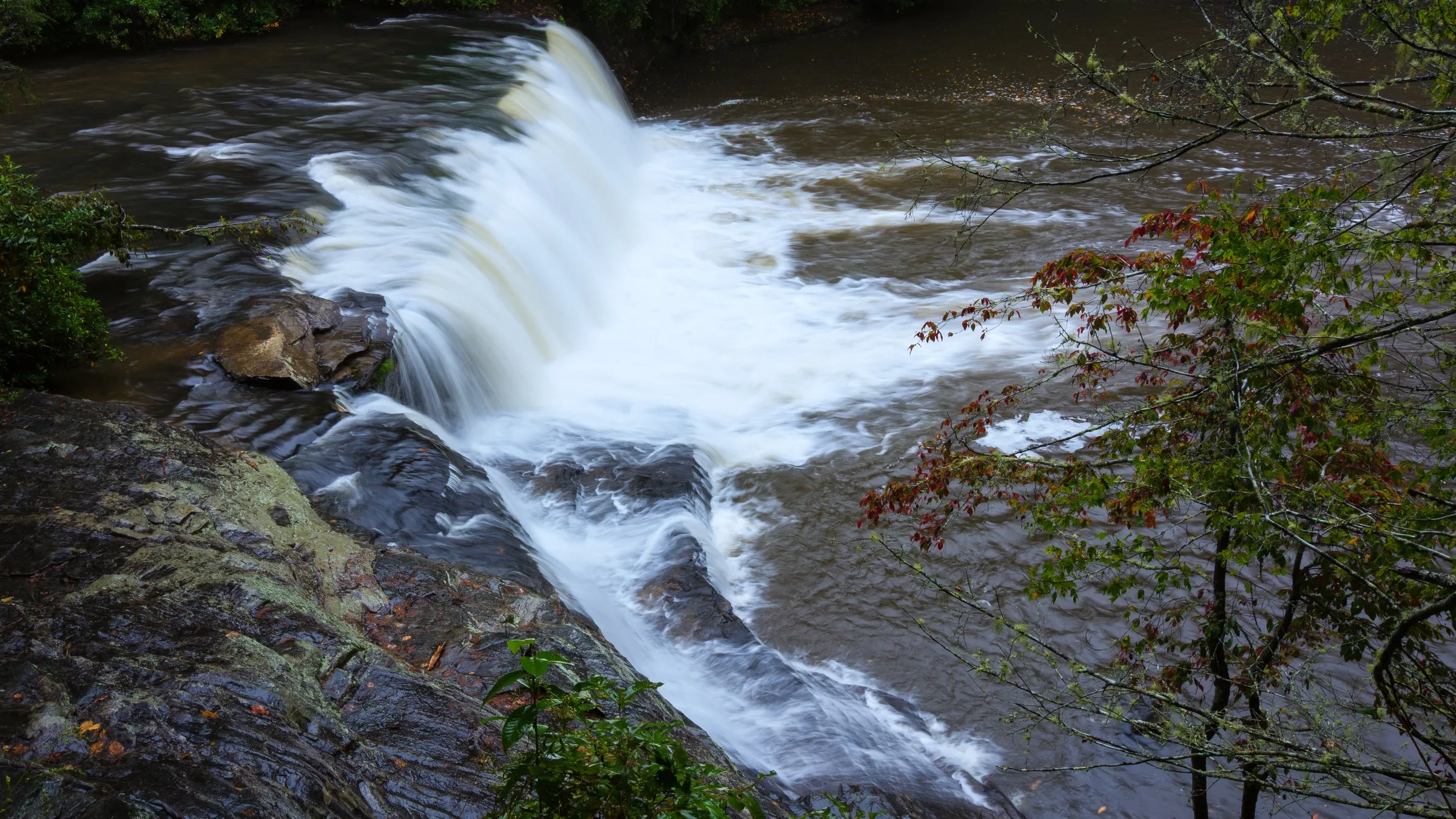 Hooker Falls in DuPont State Forest running high and white over dark rock, with the first red leaves of fall on a small tree in front