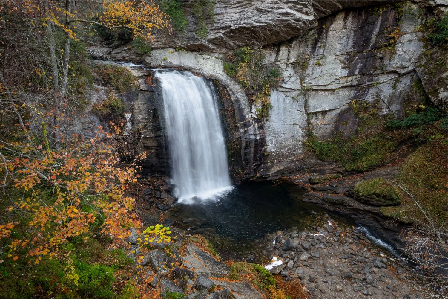 Looking Glass Falls plunging 60 feet over a rock face into the pool below, framed by green rhododendron
