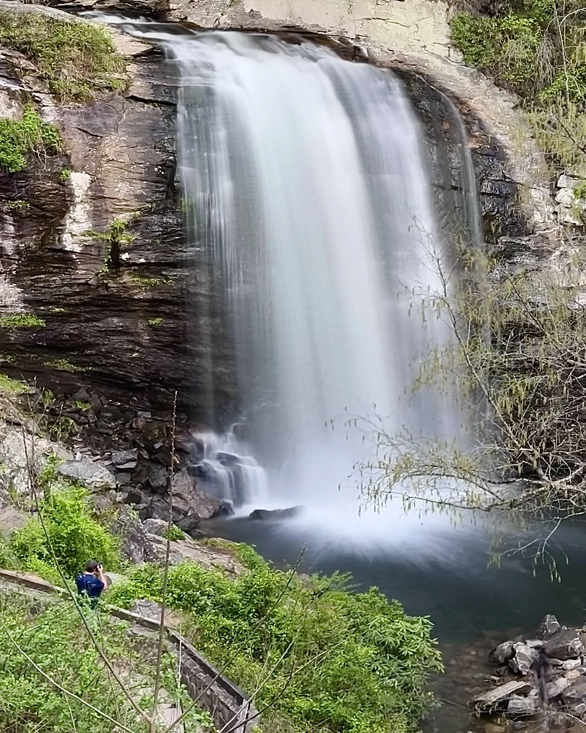 Looking Glass Falls in April, a wide sixty-foot curtain of water over layered rock into a green pool