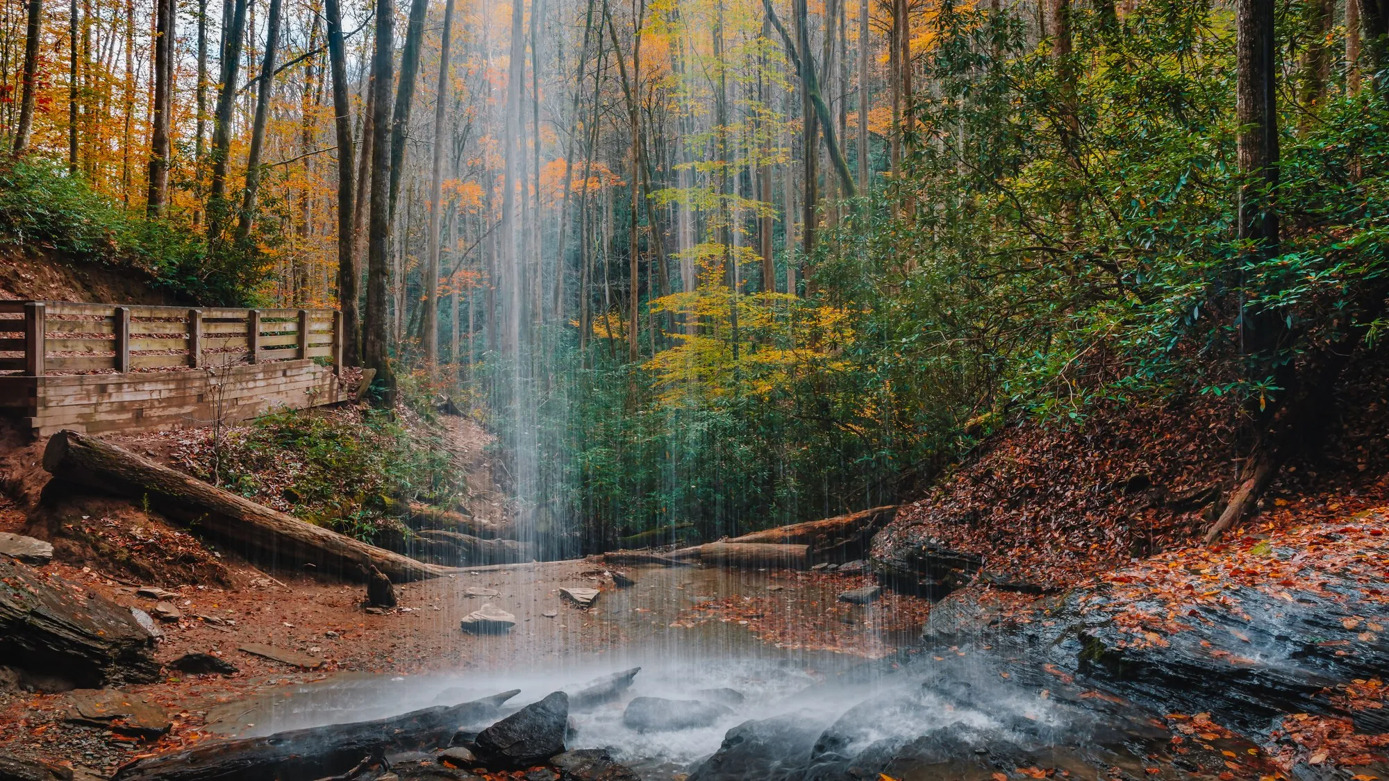 Moore Cove Falls as a thin veil in autumn, seen from the observation deck with orange and gold fall color filling the surrounding forest