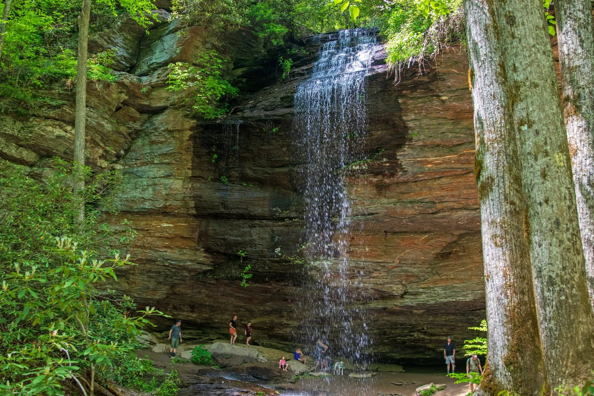 Moore Cove Falls dropping about 50 feet as a thin veil over a wide rock overhang, with visitors gathered on the rocks at the base for scale
