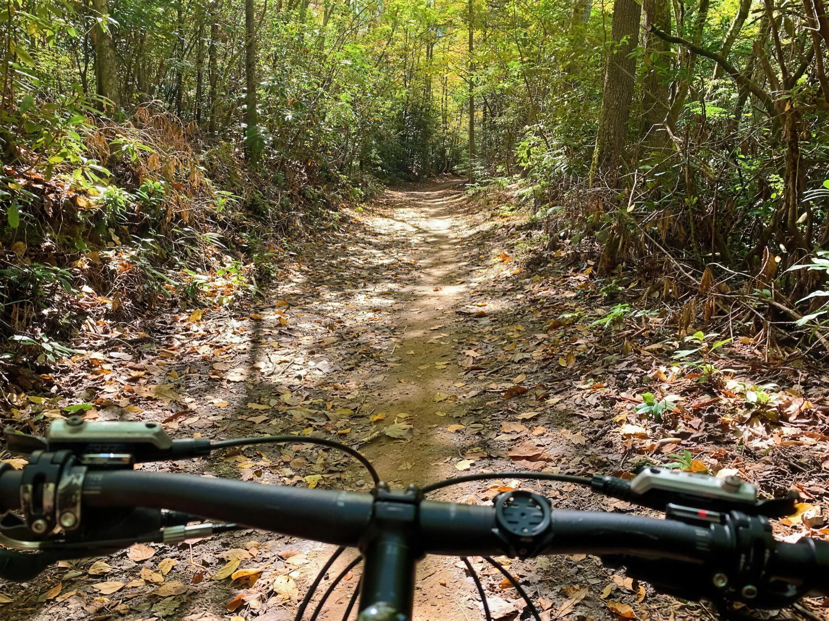 A rider's view over mountain bike handlebars down a leaf-covered singletrack through sunlit forest