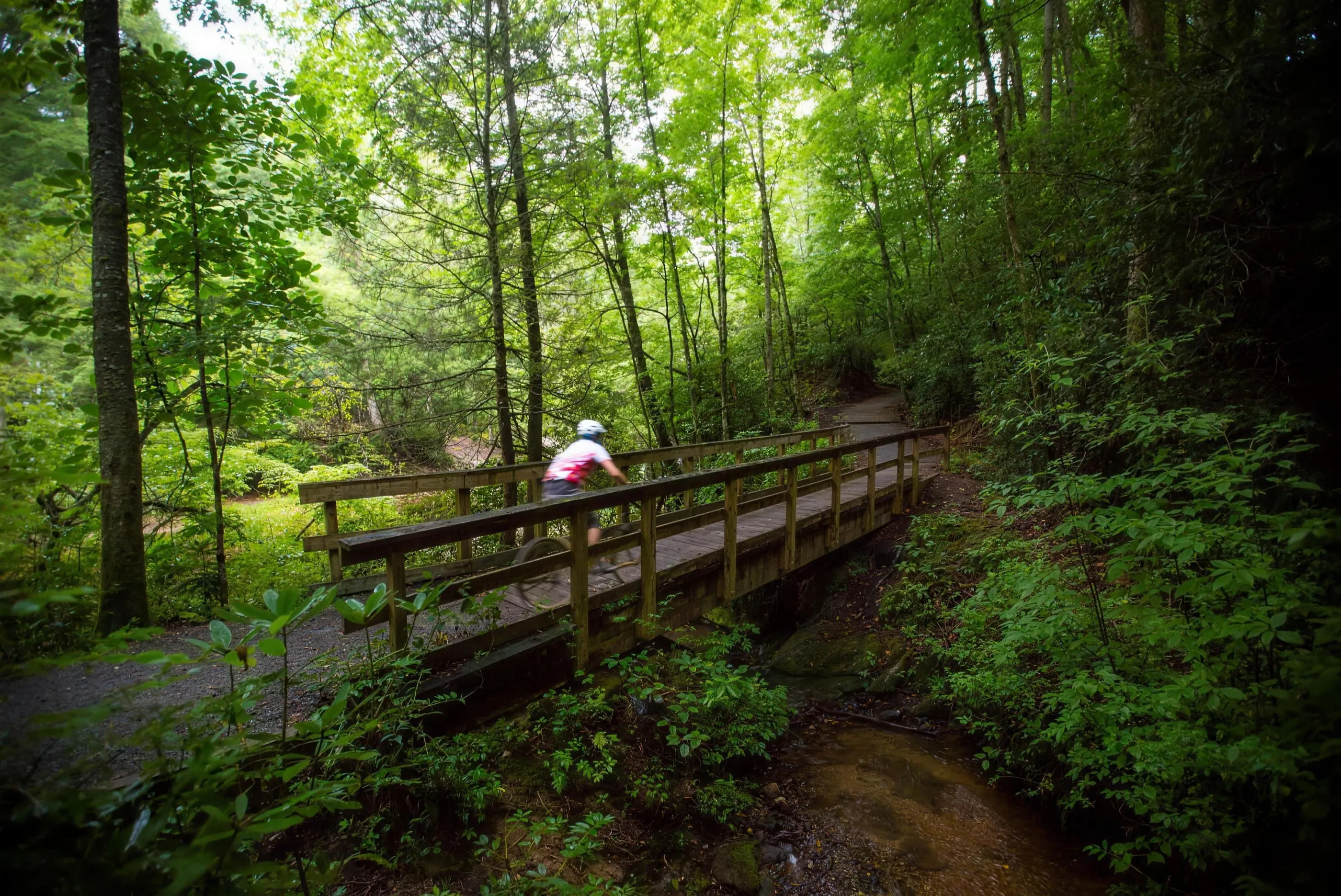 A cyclist crossing a wooden footbridge on a gravel path through green forest