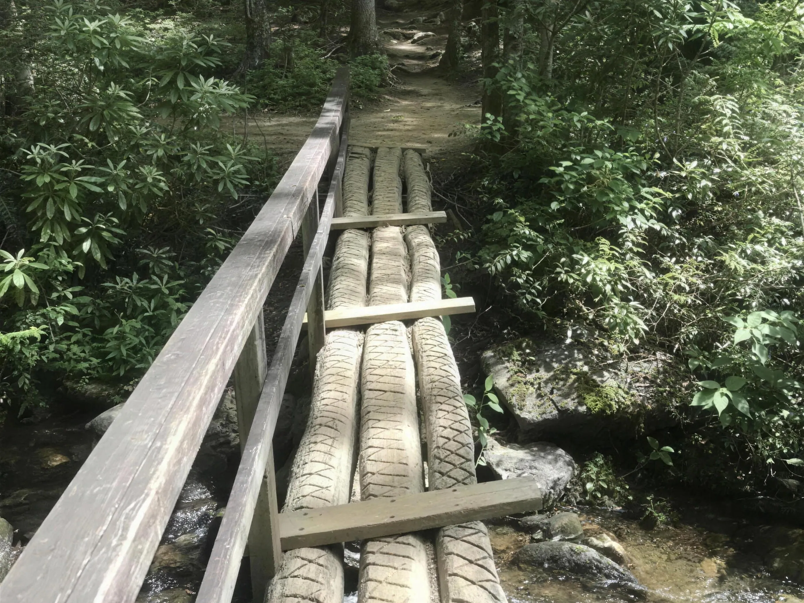 A narrow log footbridge with a wooden handrail crossing a rocky creek into green forest