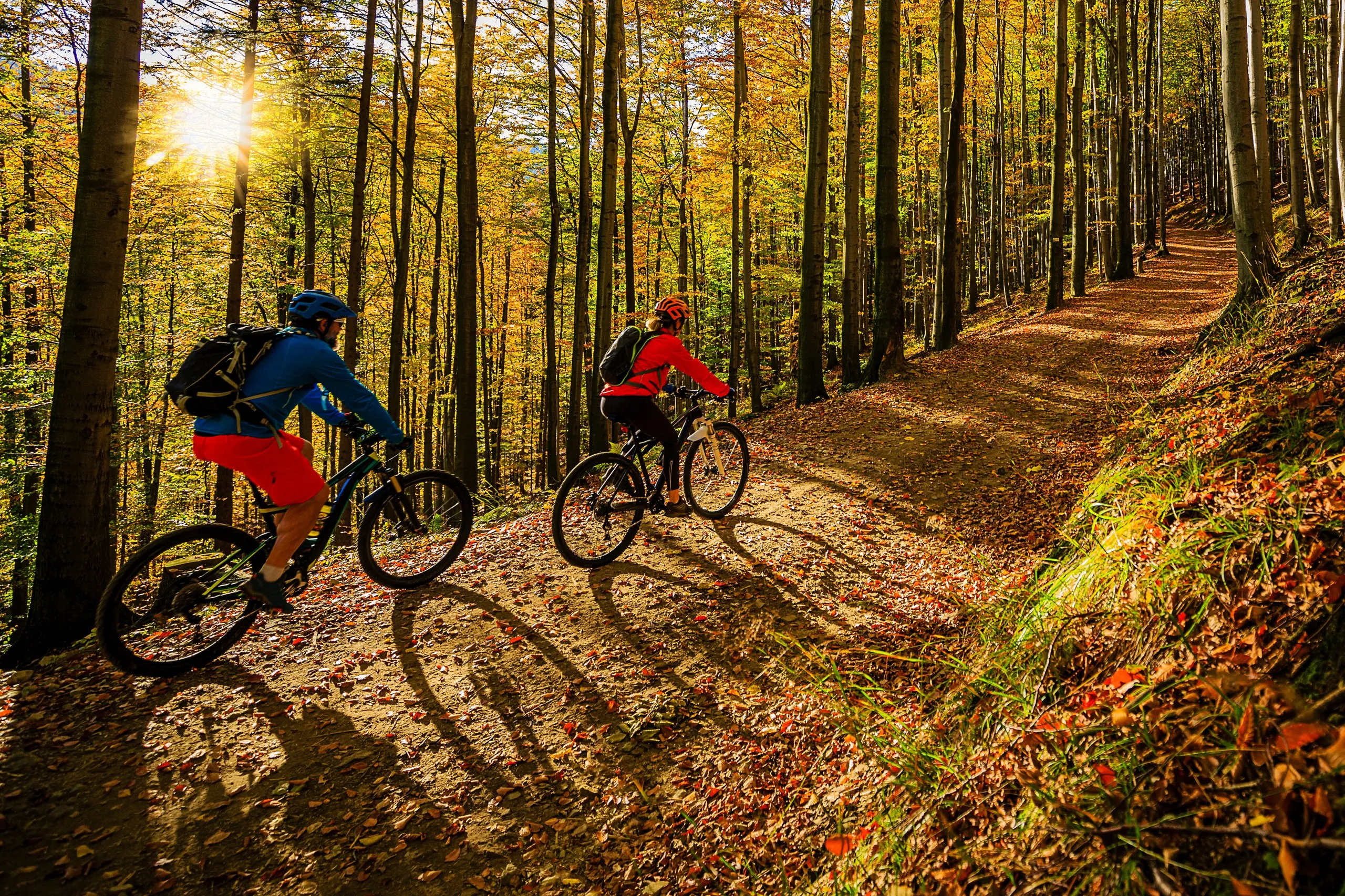 Two mountain bikers riding a leaf-covered singletrack through a sunlit fall hardwood forest
